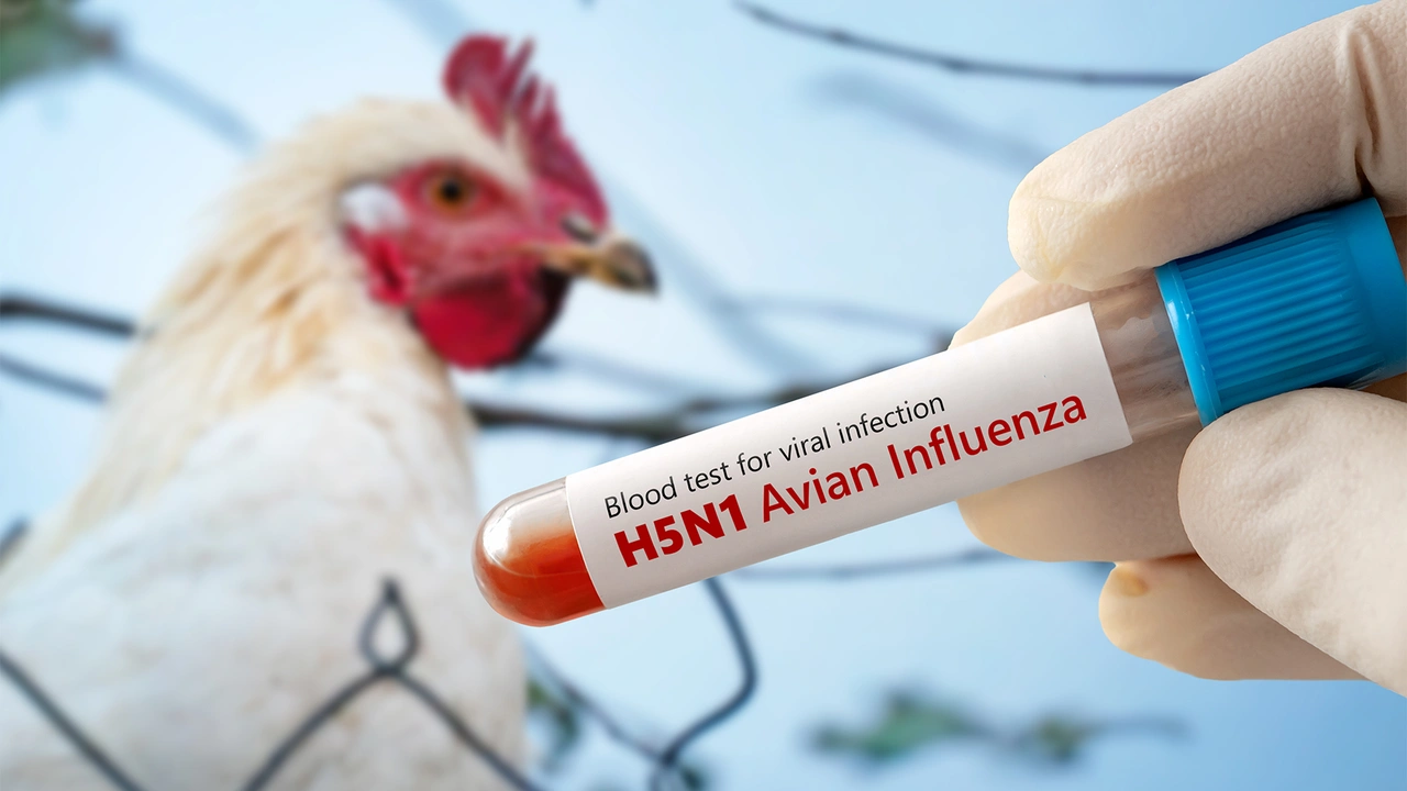 Avian Influenza Outbreak in the United States: Recent Developments and Implications.